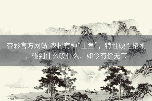 杏彩官方网站 农村有种“土鱼”，特性硬性格刚，碰到什么咬什么，如今有价无市