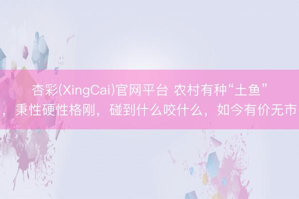 杏彩(XingCai)官网平台 农村有种“土鱼”，秉性硬性格刚，碰到什么咬什么，如今有价无市