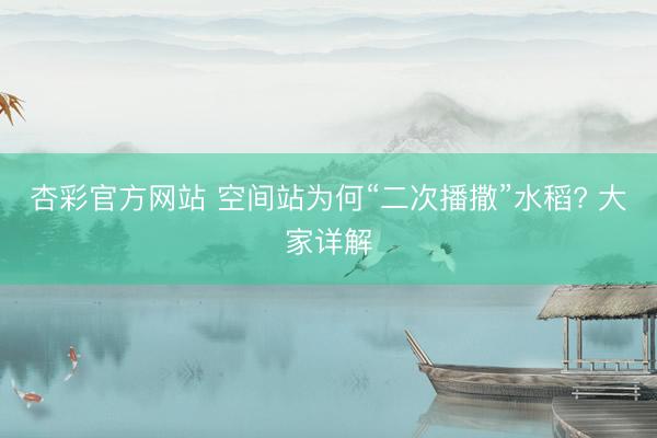 杏彩官方网站 空间站为何“二次播撒”水稻? 大家详解