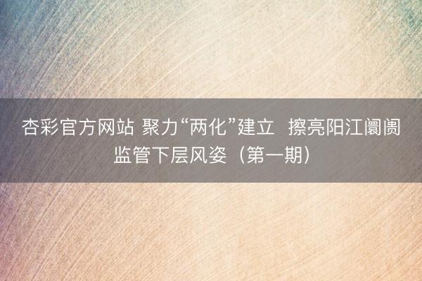 杏彩官方网站 聚力“两化”建立  擦亮阳江阛阓监管下层风姿（第一期）